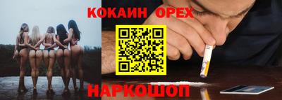 скорость Кингисепп