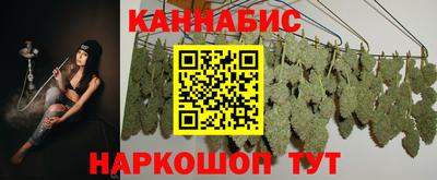 скорость Кингисепп