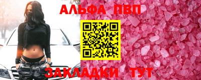скорость Кингисепп
