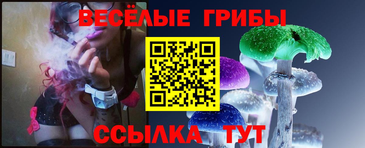 Галлюциногенные грибы Psilocybine cubensis  Вход с VPN  Кунгур 